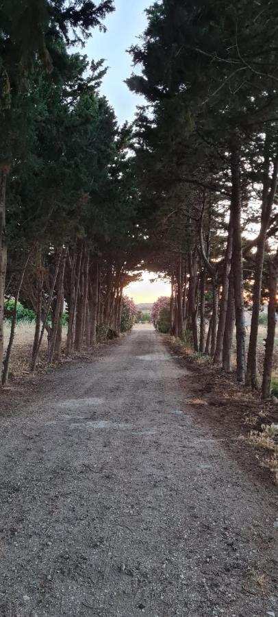 Apartament La Casa Del Gelso Tonnara di Bonagia Zewnętrze zdjęcie