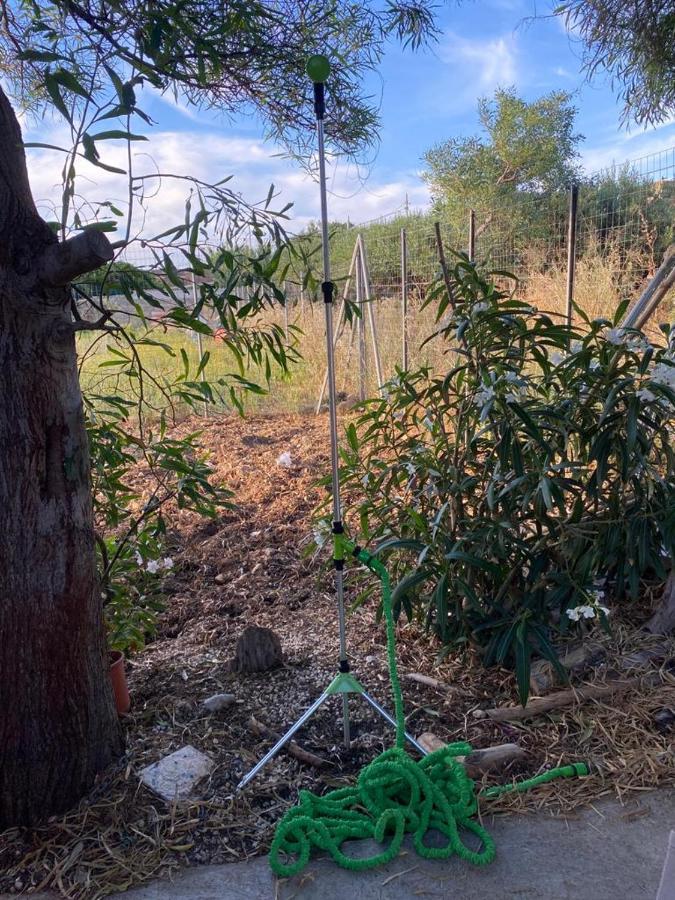 Apartament La Casa Del Gelso Tonnara di Bonagia Zewnętrze zdjęcie